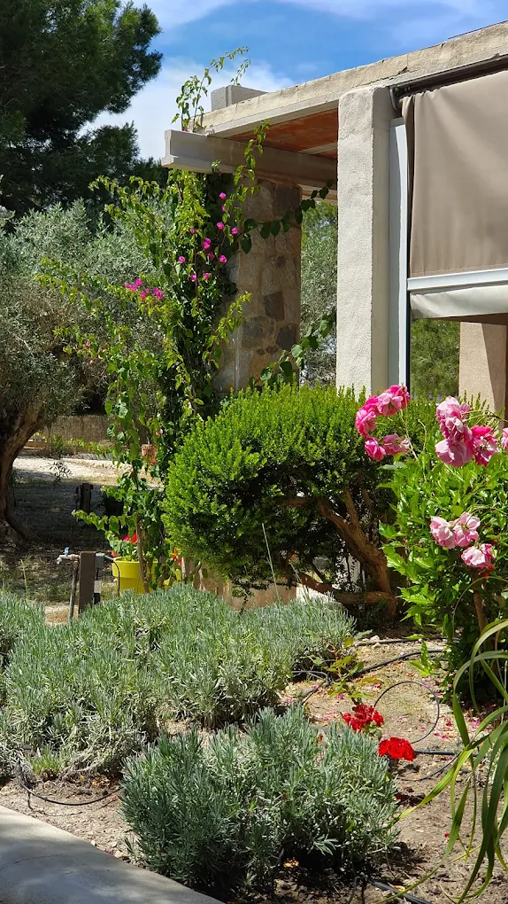 Sammati Wellness Finca