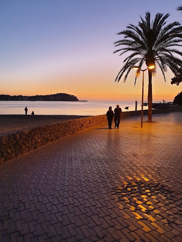 Island Hopping Tour in Santa Ponsa photo 4
