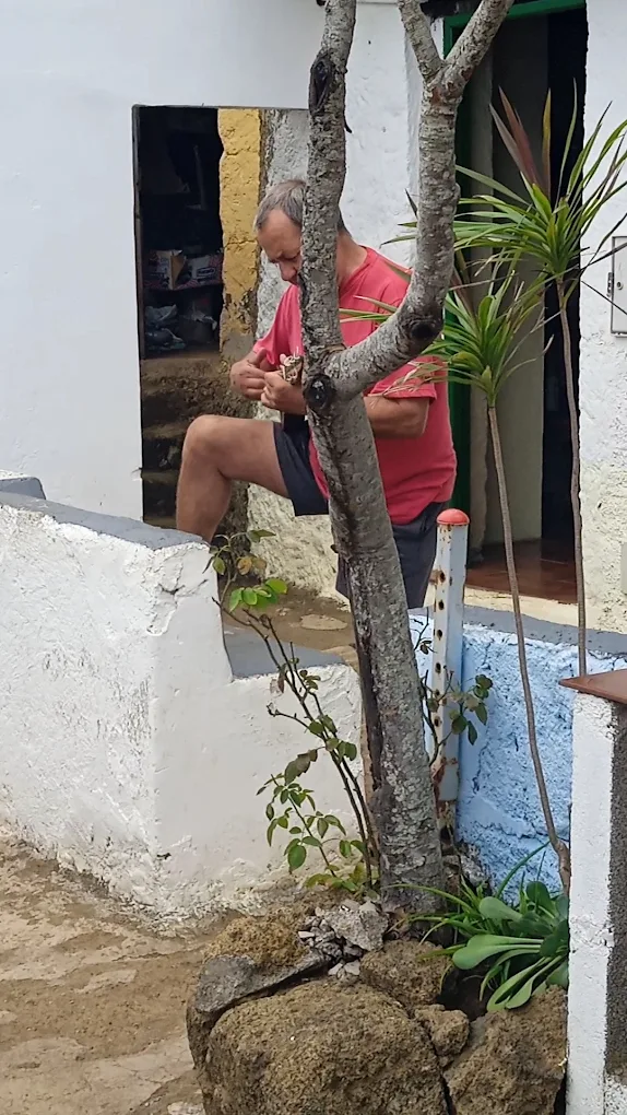 Hiking Tours in Puerto de la Cruz photo 2