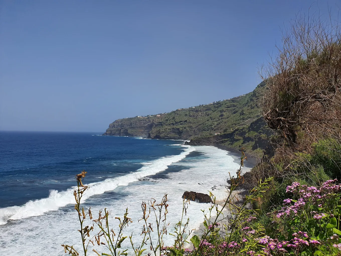 Hiking Tours in Puerto de la Cruz photo 3
