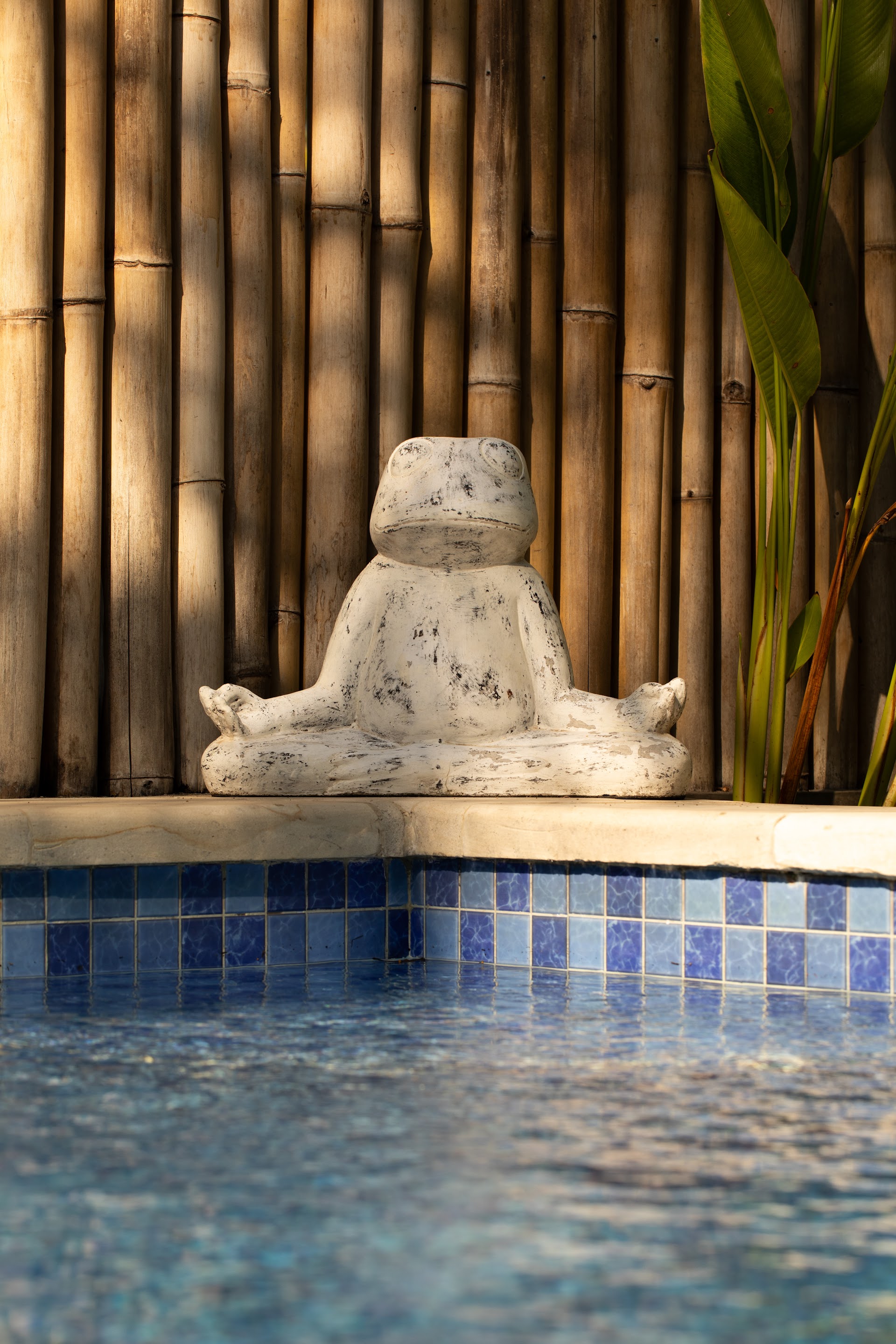 Hotels & Resorts in Gili Air photo 1