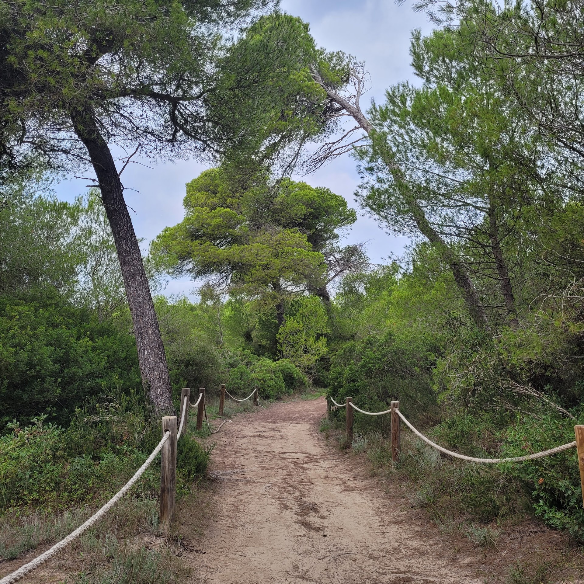 Island Hopping Tour in Playa de Muro photo 2