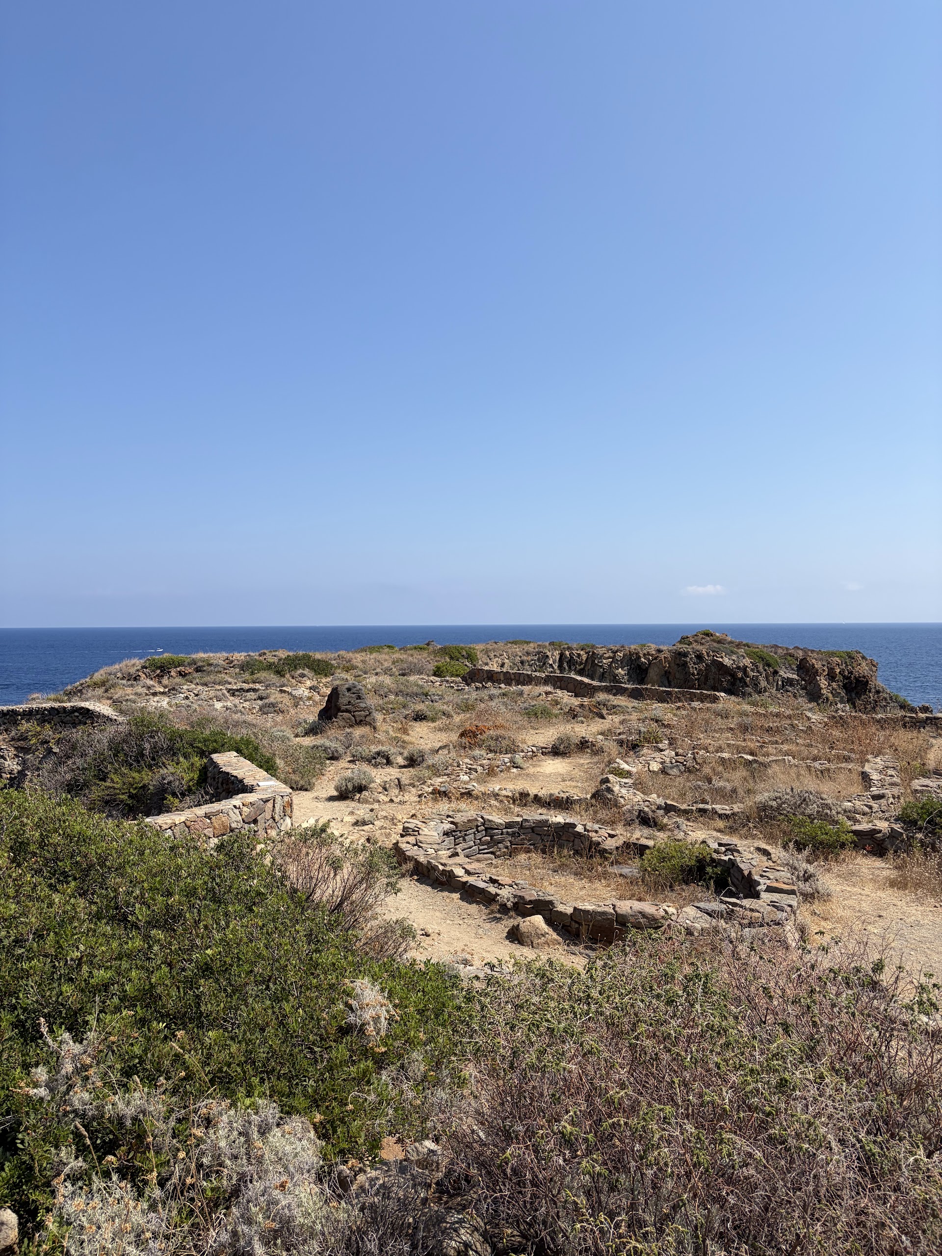 Camel Riding in Panarea photo 2