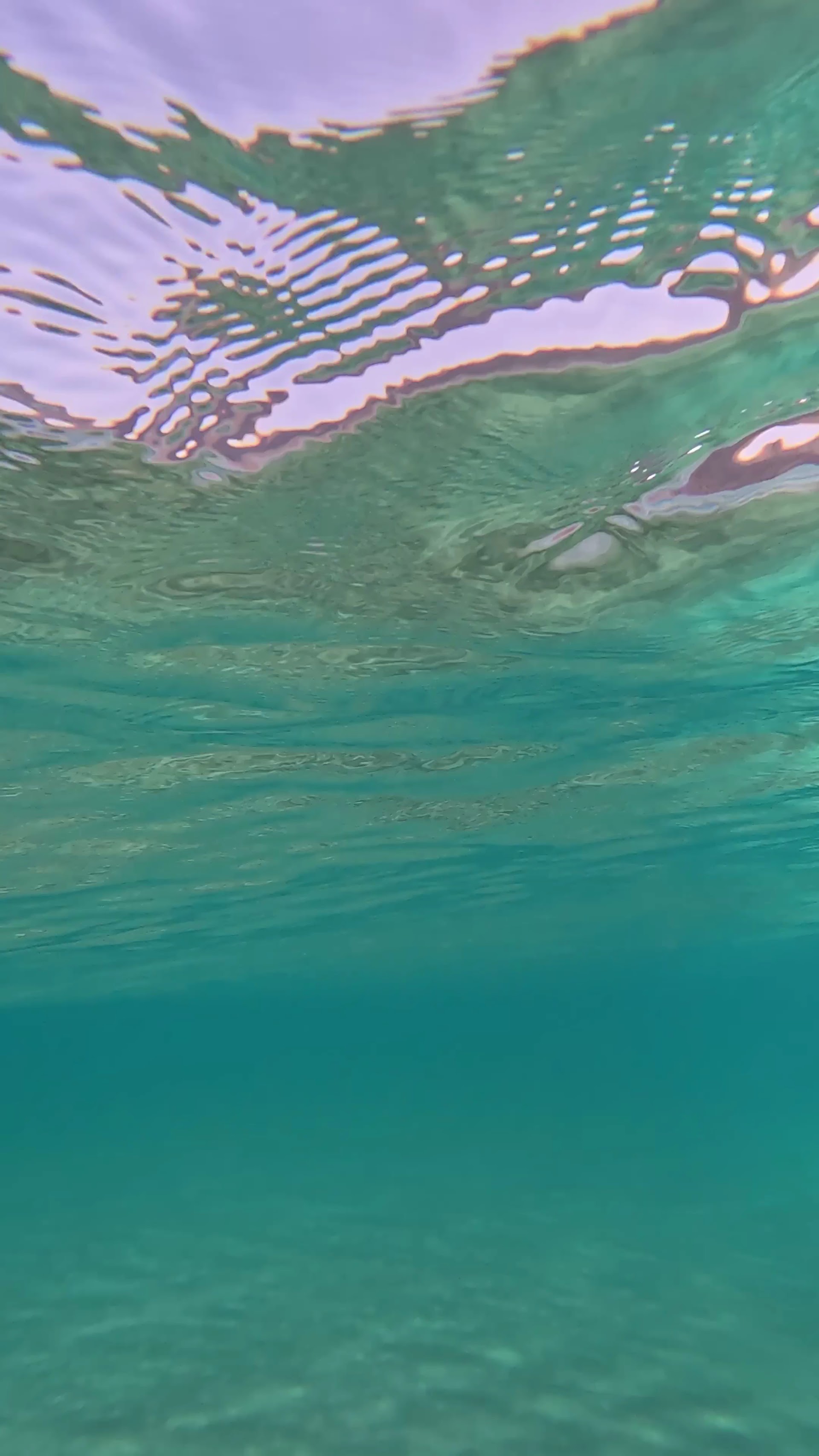 Surf Lessons in Canary Islands (Spain) photo 3