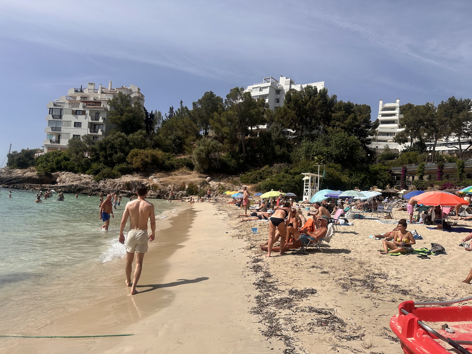 Glass Bottom Boat in Illetes photo 5