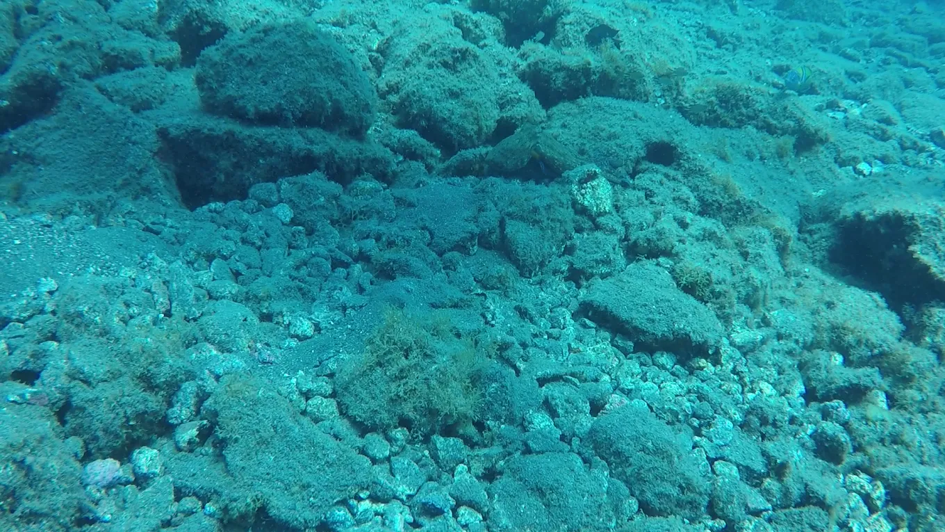 Dive Centre ATLANTIK