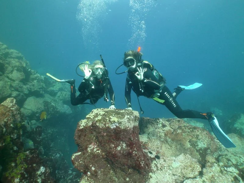 Scuba Courses in Puerto de la Cruz photo 2