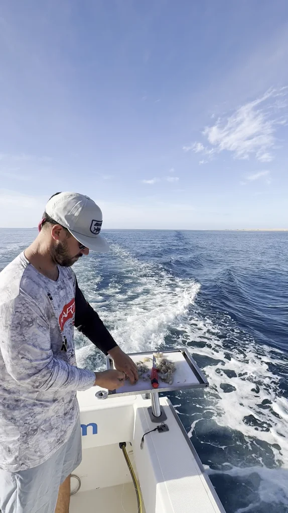 Fishing Charter in Maspalomas photo 4