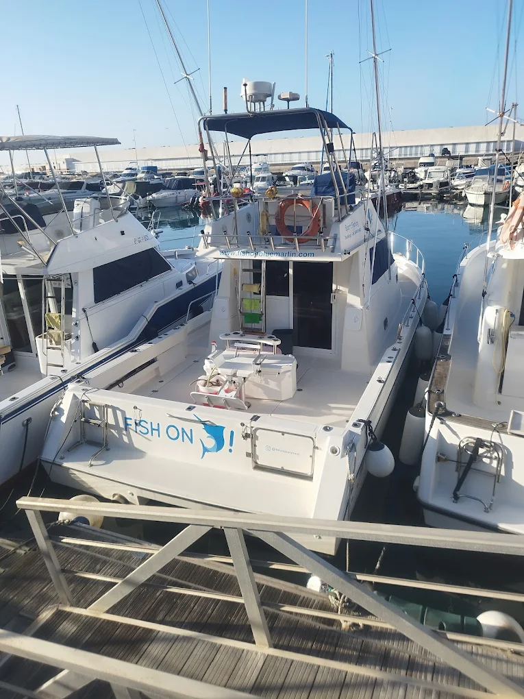 Fishing Charter in Maspalomas photo 5