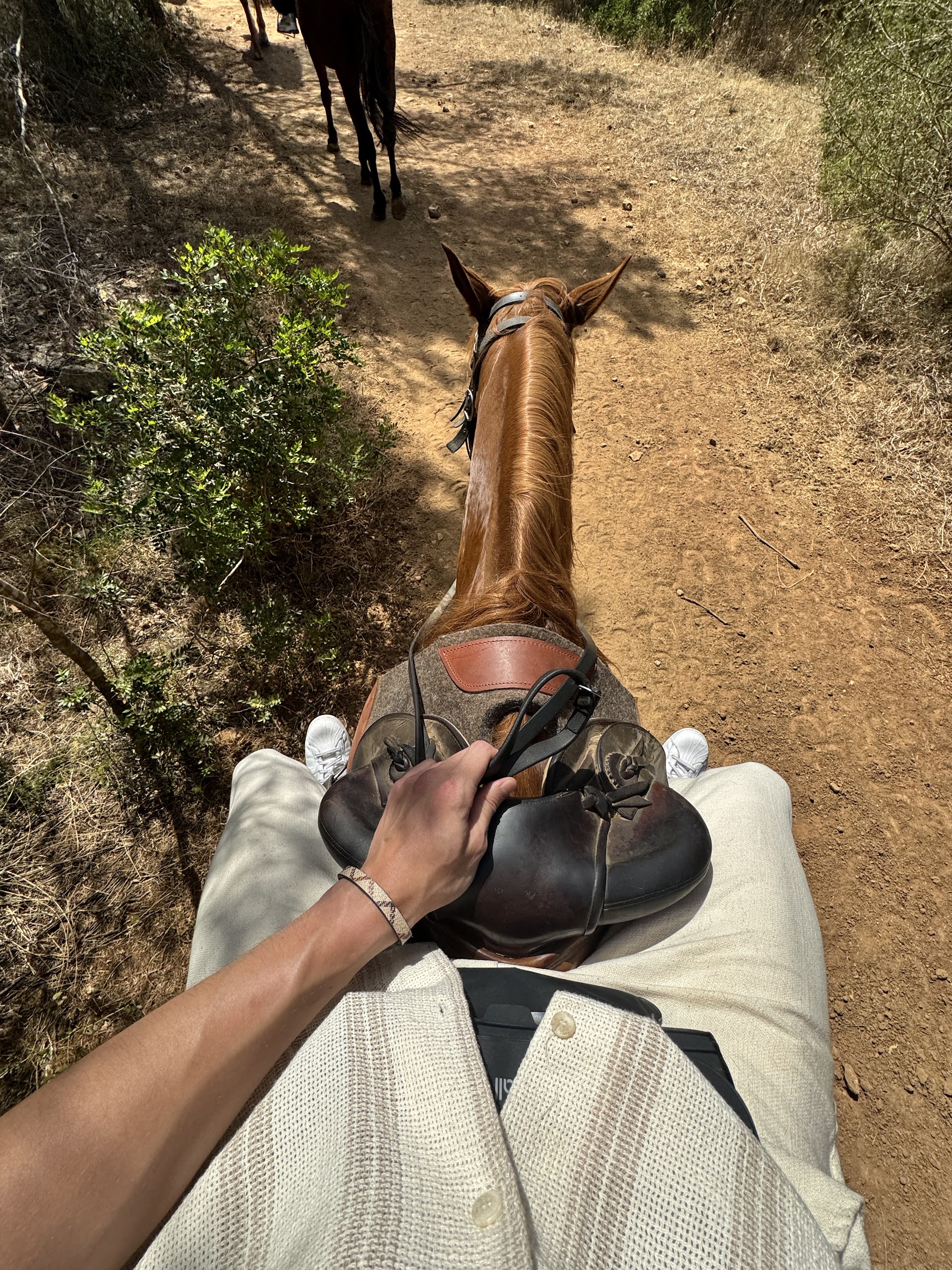 Horseback Riding in Playa de Muro photo 2