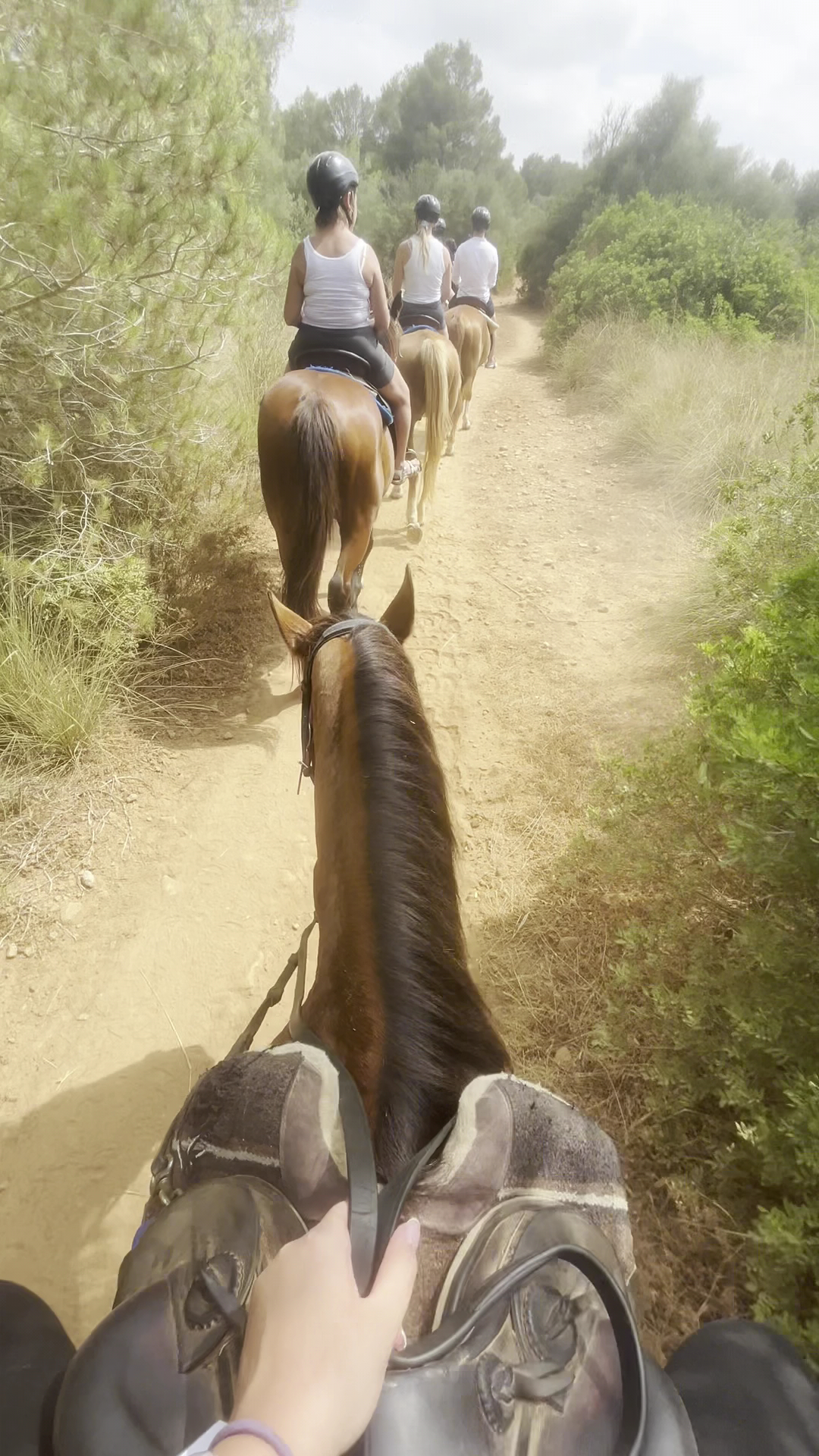 Horseback Riding in Playa de Muro photo 3