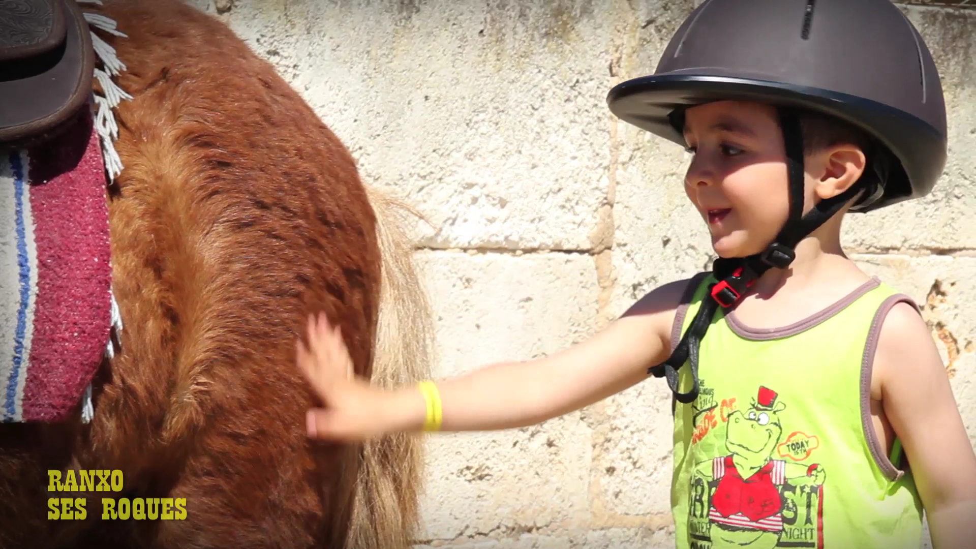 Horseback Riding in Playa de Muro photo 4