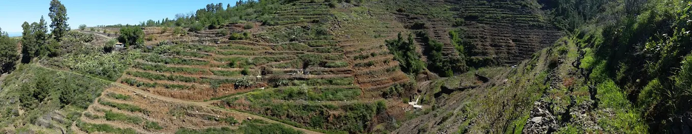 S.A.T. Bodegas Noroeste de La Palma - Vega Norte