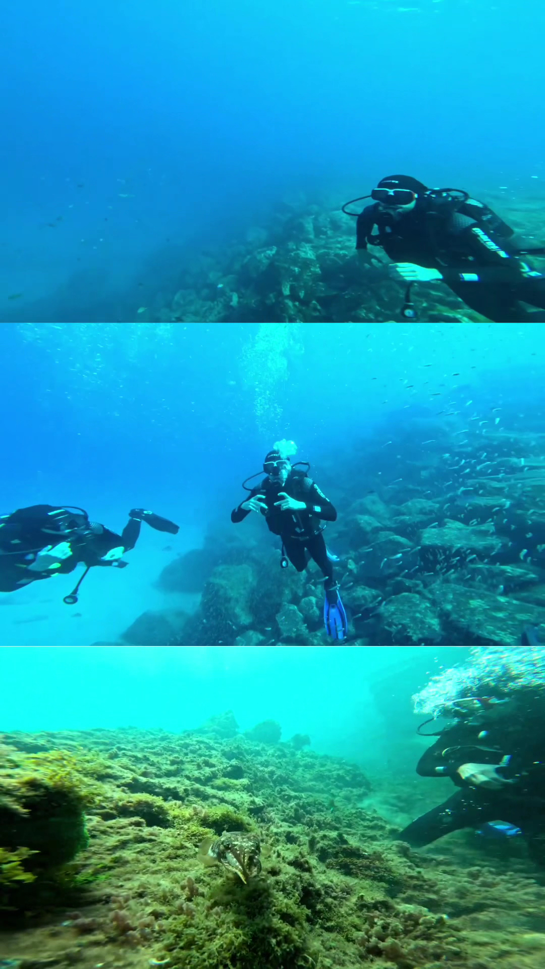 Diving PC photo 3