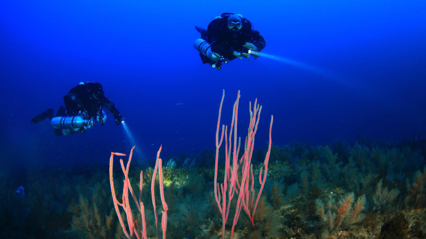 Diving PC photo 5