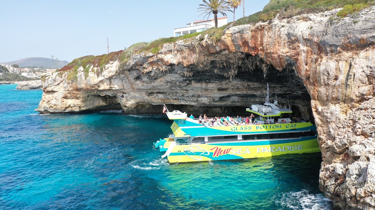 Glass Bottom Boat in Cala Agulla photo 3