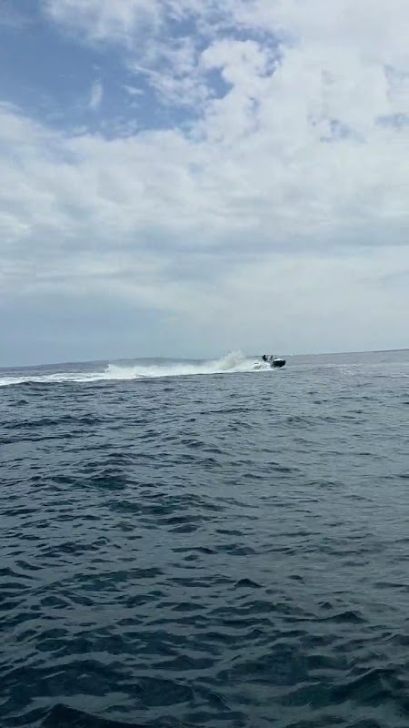 Flyboarding in Ibiza Town photo 3