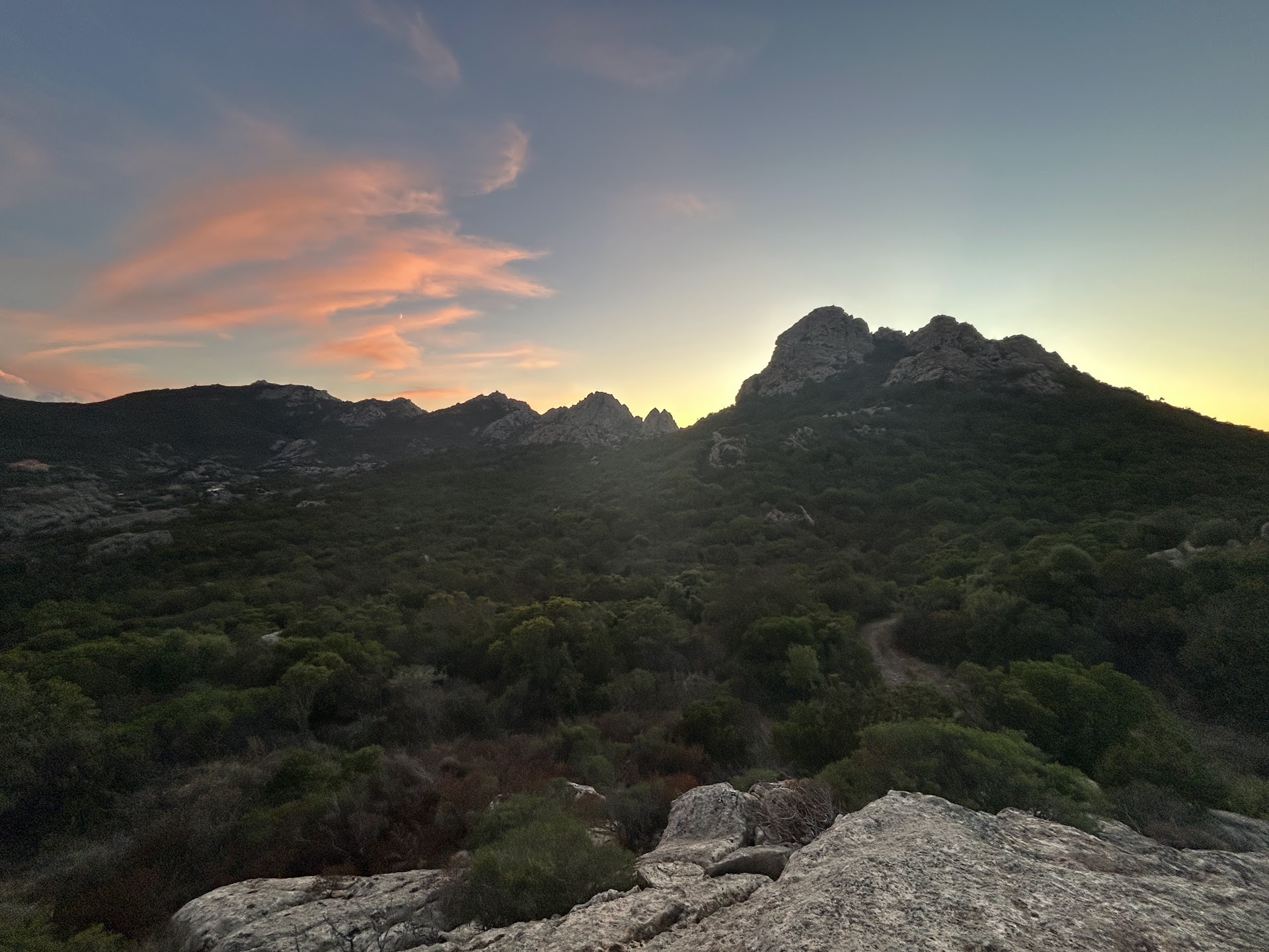Rimboschimento urbano Olbia