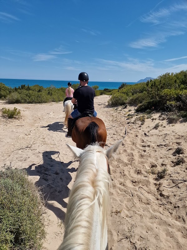 Rancho Ca'n Picafort