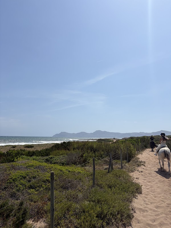 Horseback Riding in Puerto Pollença photo 2