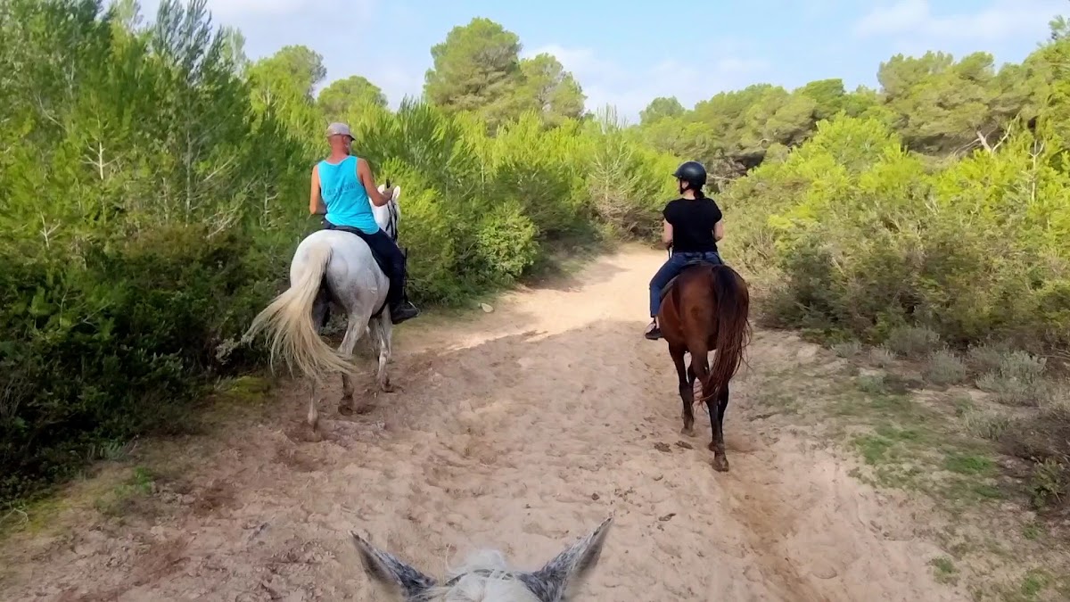 Horseback Riding in Puerto Pollença photo 4