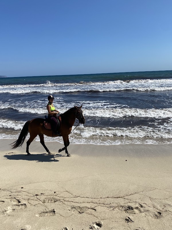 Horseback Riding in Puerto Pollença photo 5
