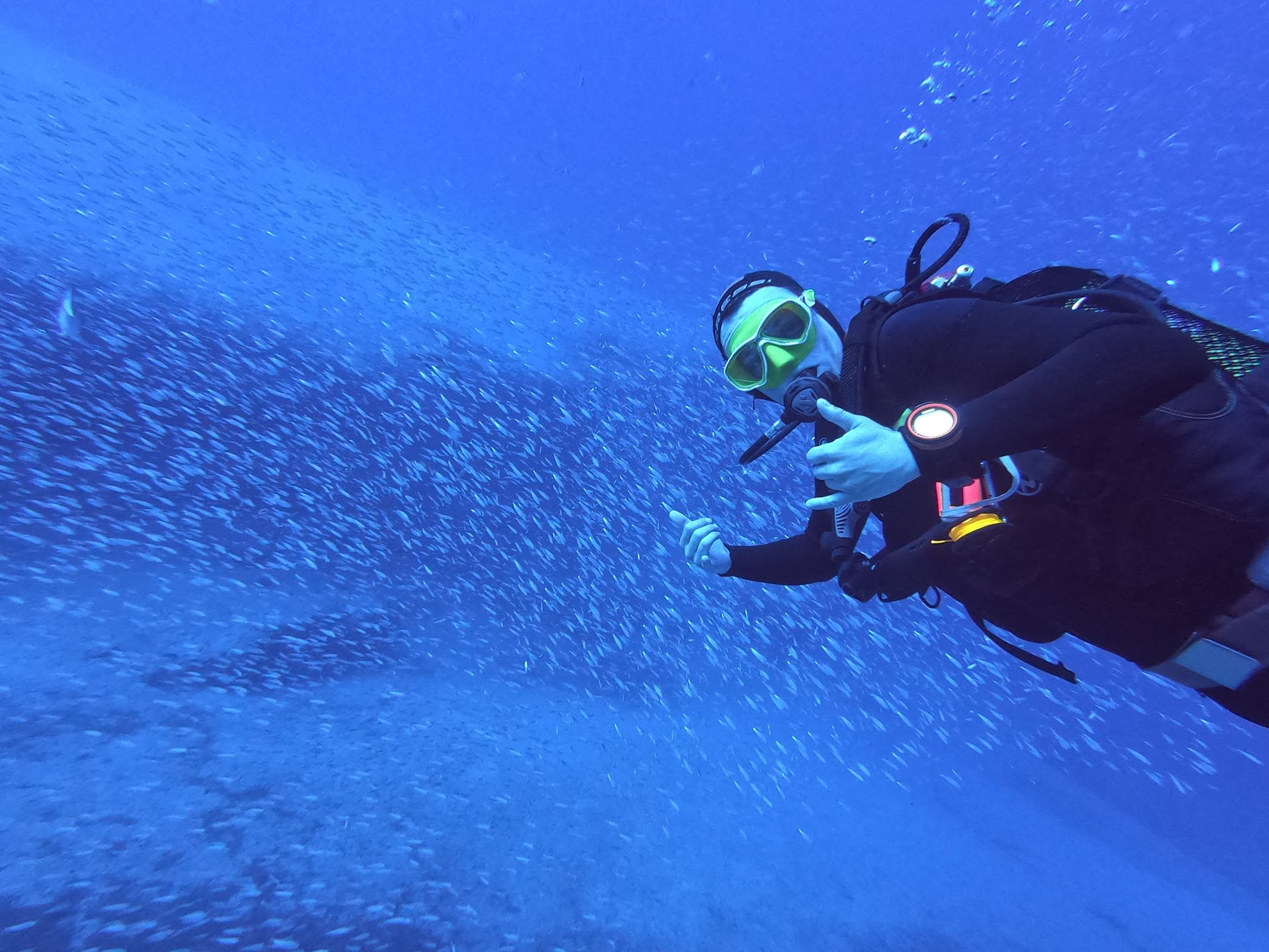 Diving Sotavento photo 2