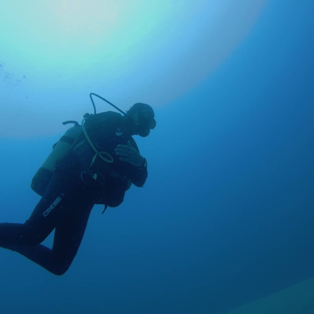 Diving Sotavento photo 4