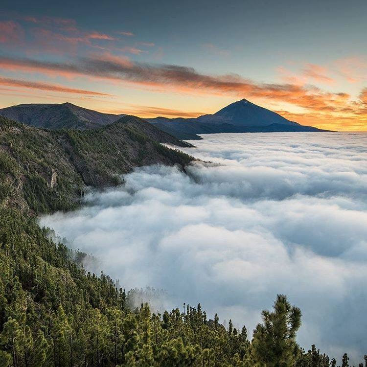 Adan Tours Tenerife