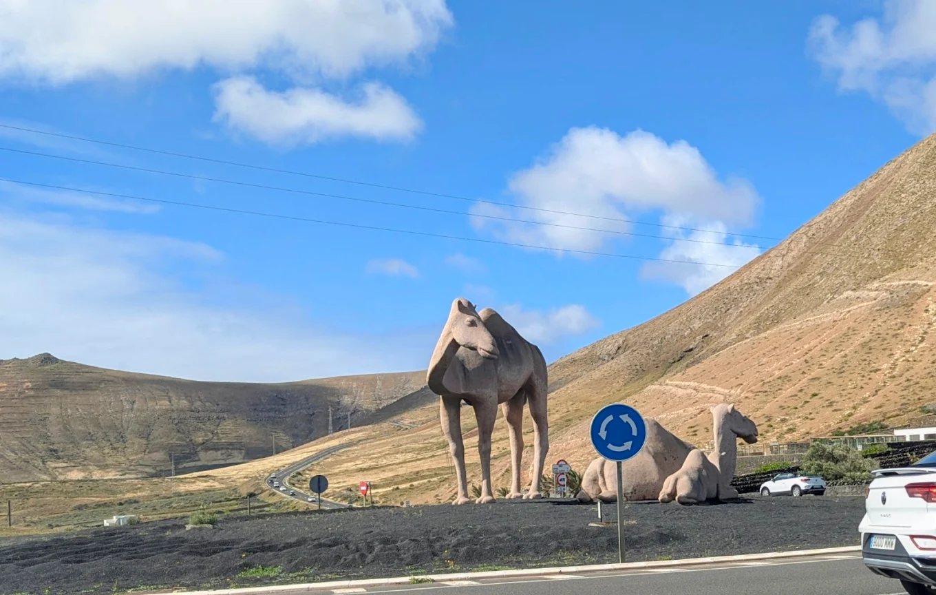 Camel Family Roundabout