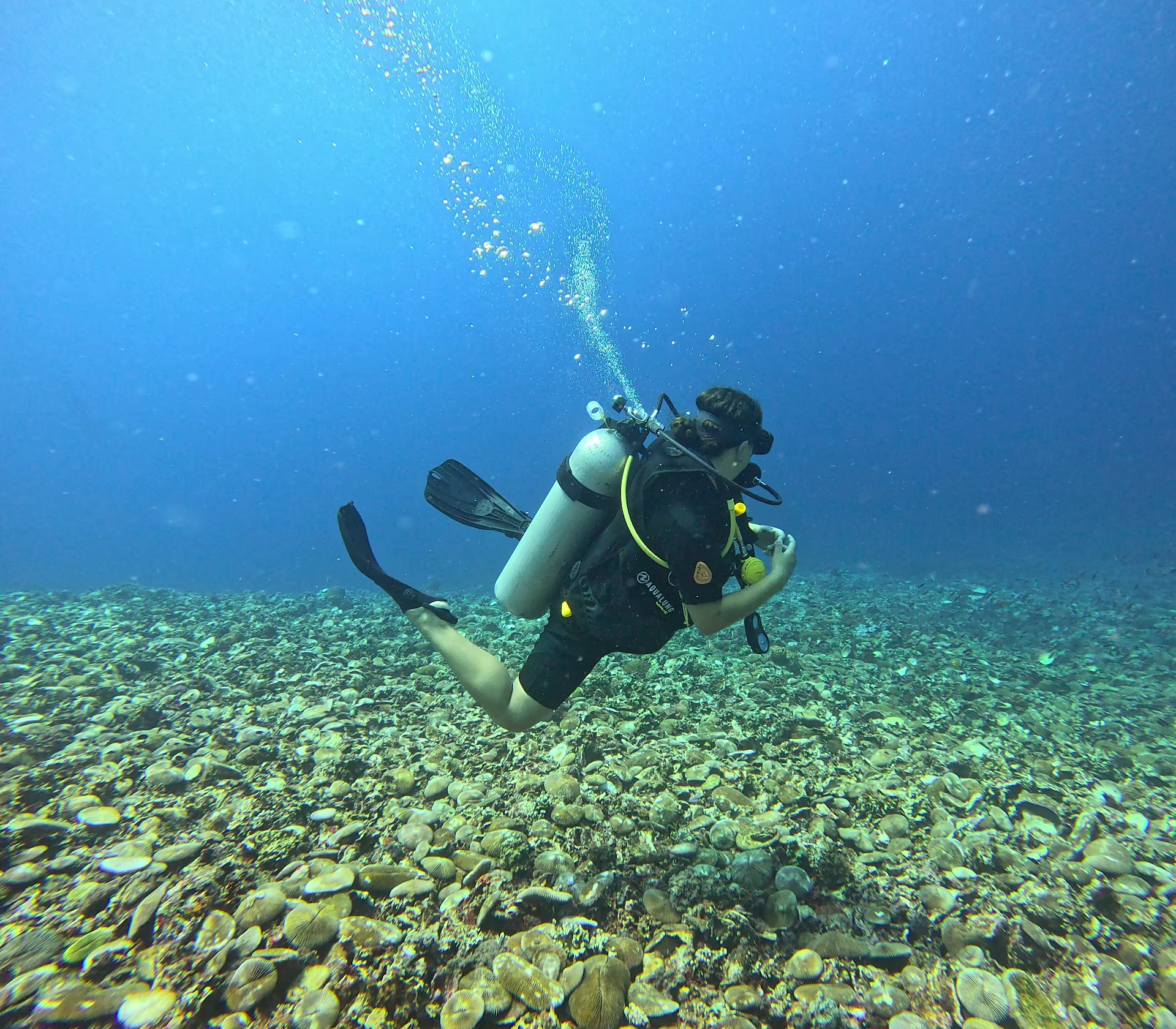 Diving & Snorkeling in Gili Air photo 3