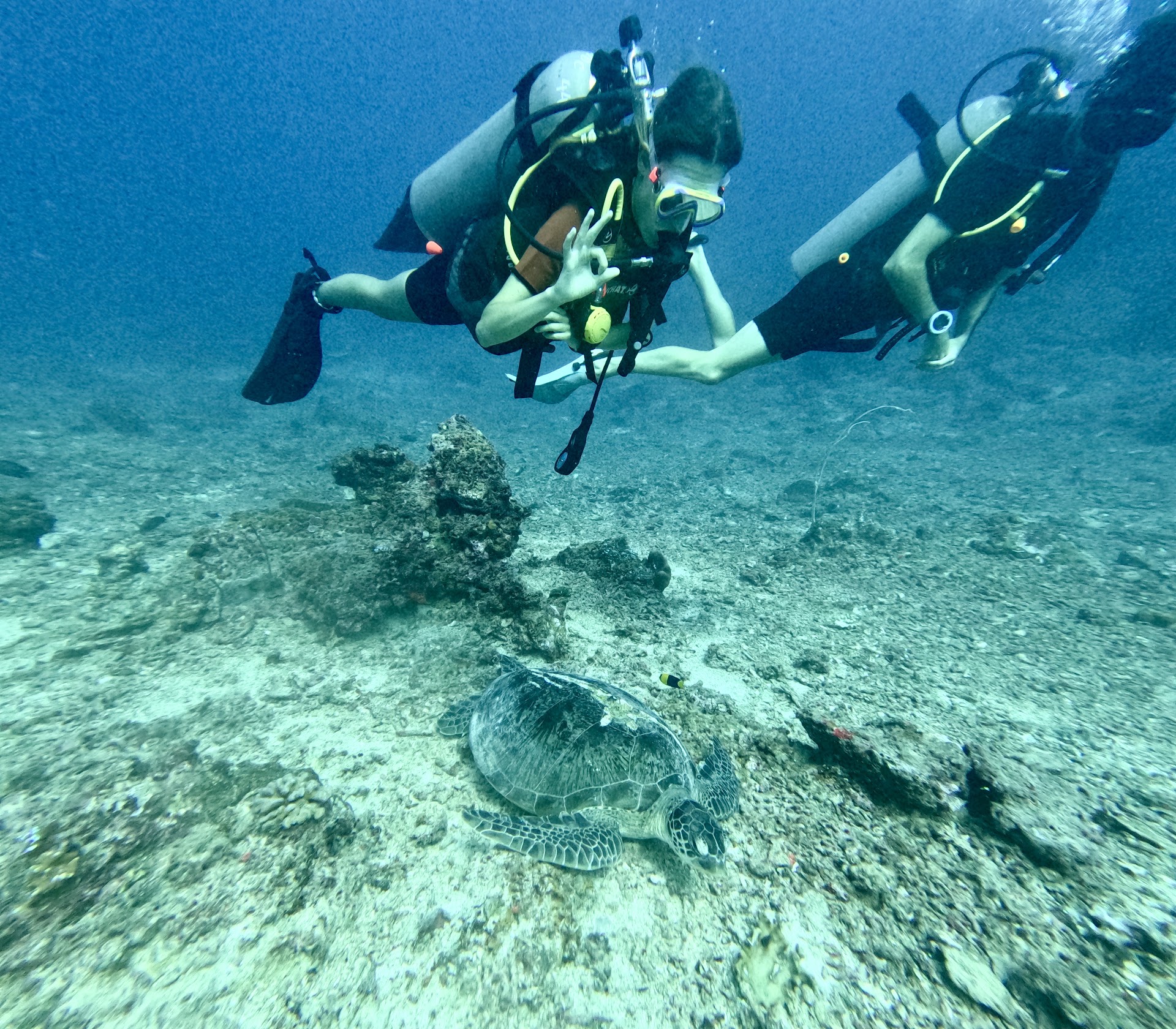 Diving & Snorkeling in Gili Air photo 5