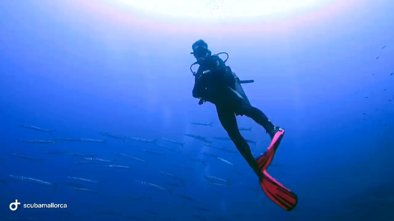 Scuba Courses in Can Picafort photo 2