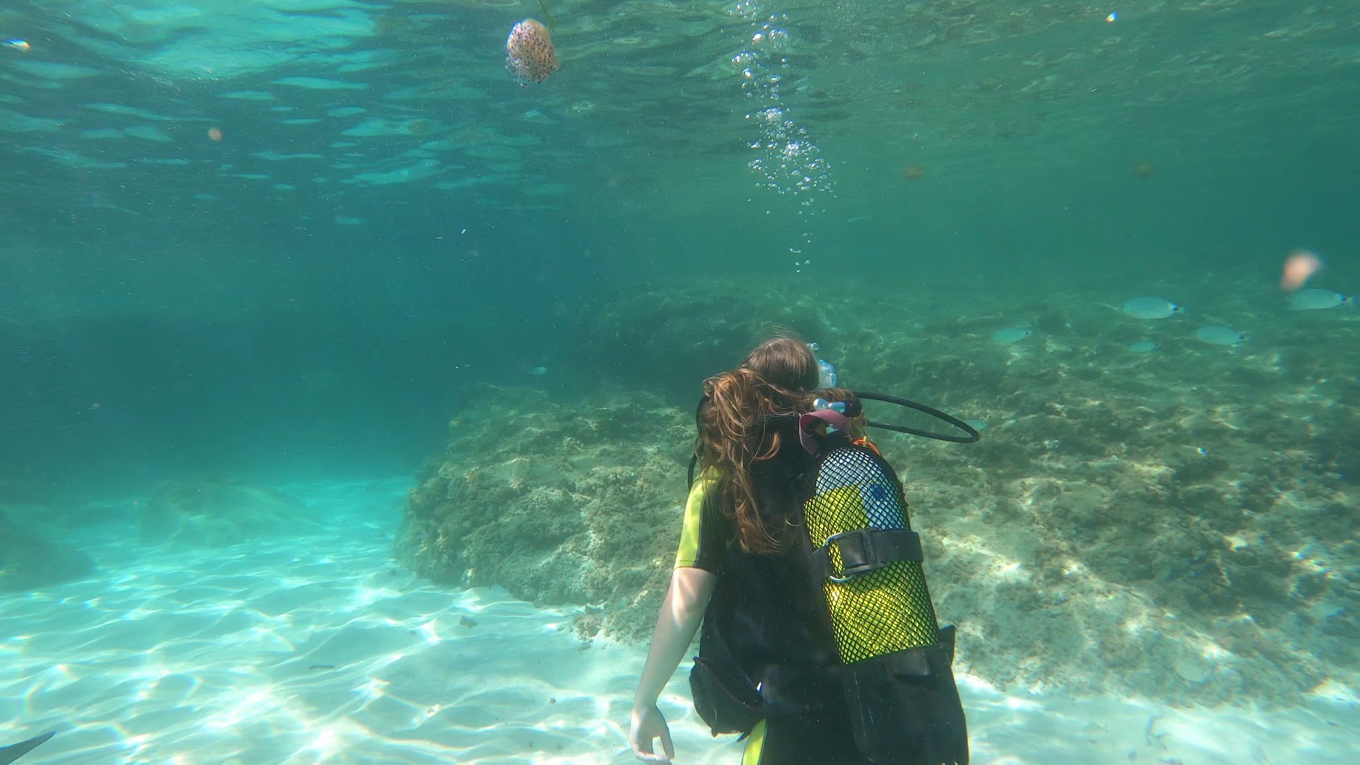 Scuba Courses in Can Picafort photo 3