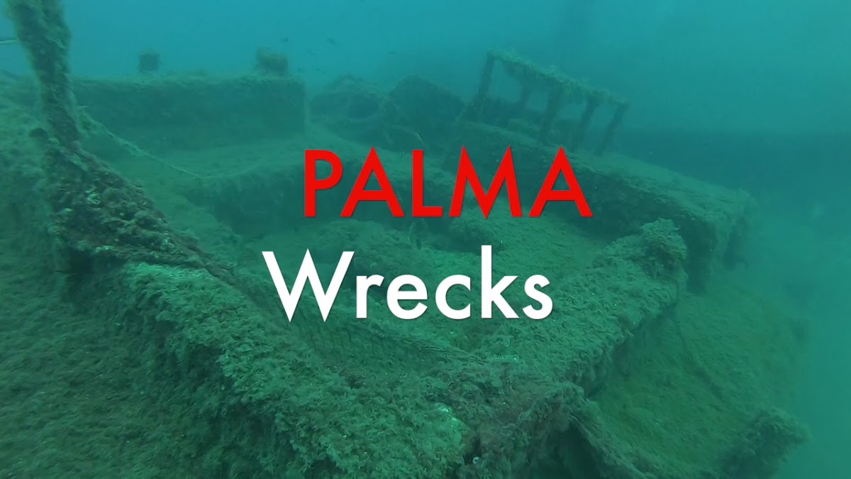 Diving & Snorkeling in Magaluf photo 2