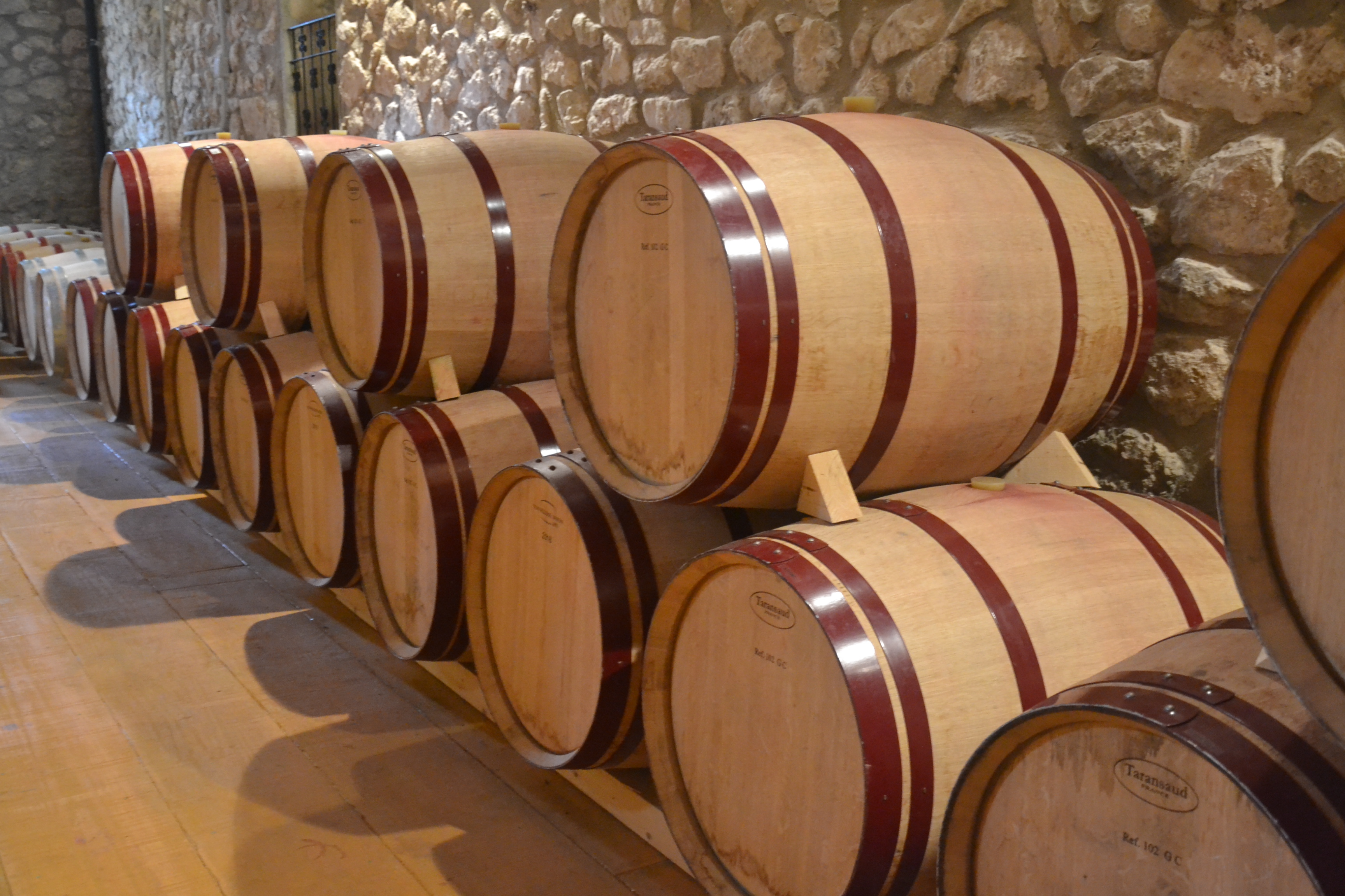 Wine Tasting in Port d'Alcúdia