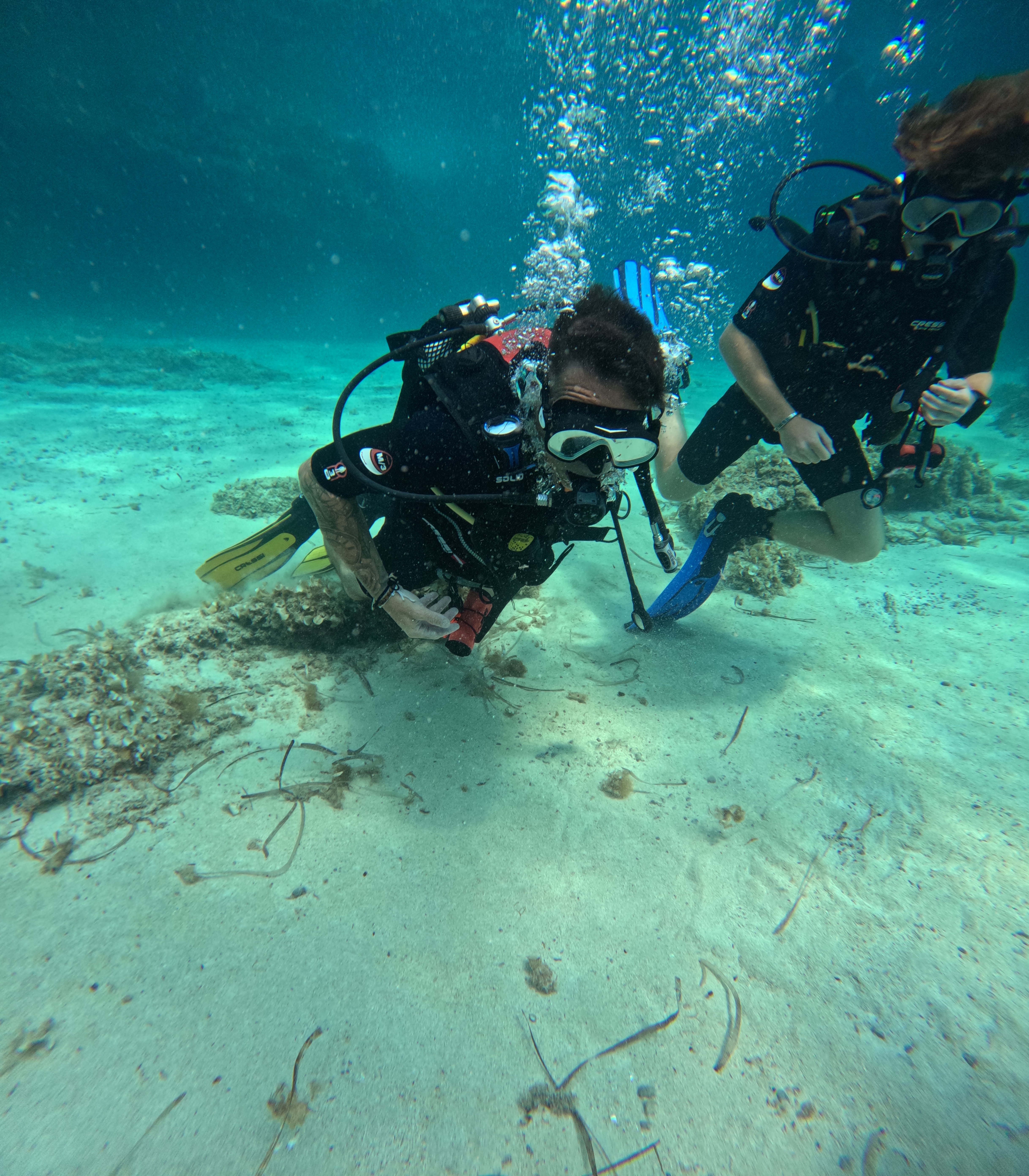 Scuba Courses in Cala Blava