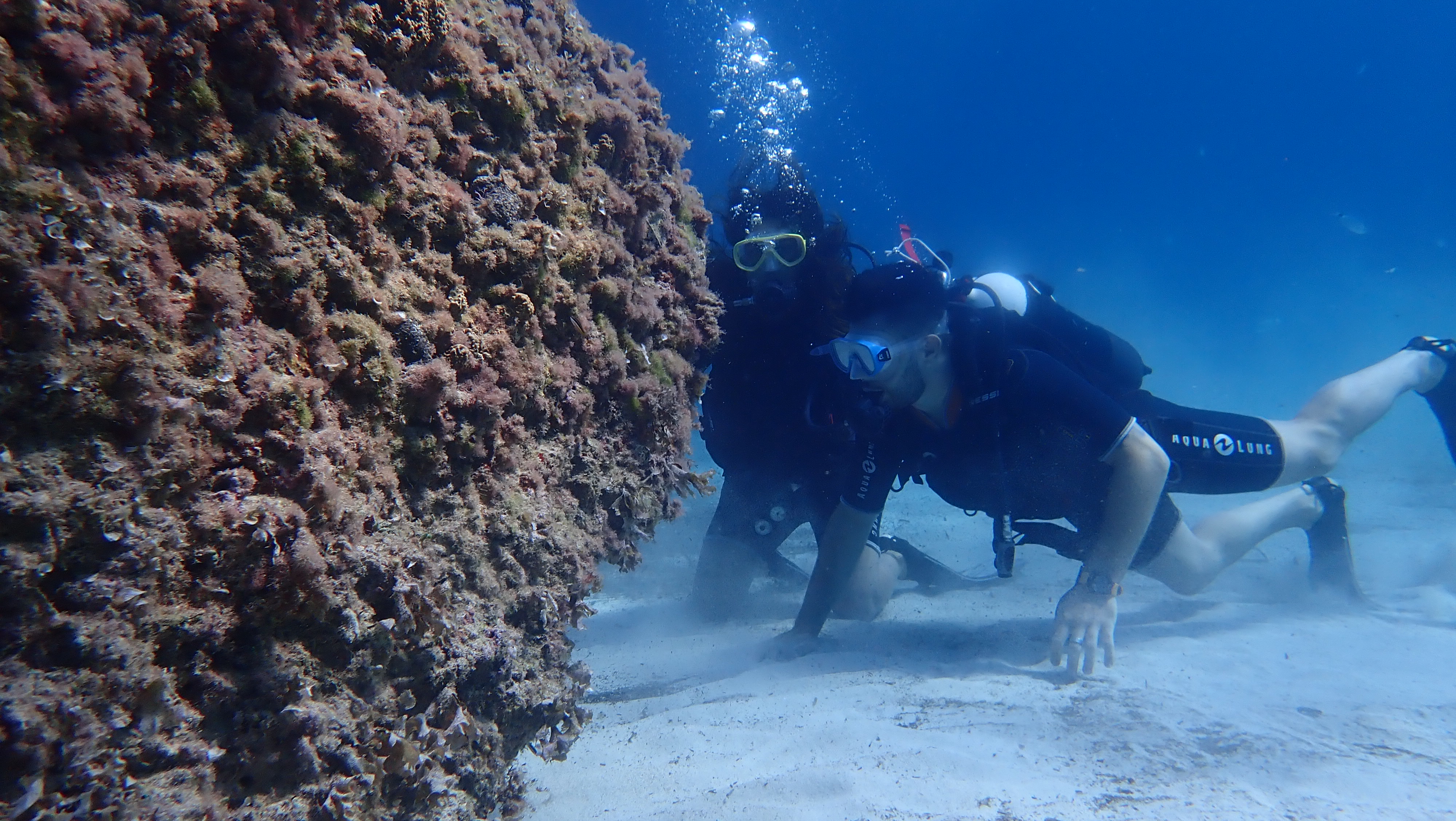 Scuba Courses in Cala Mesquida
