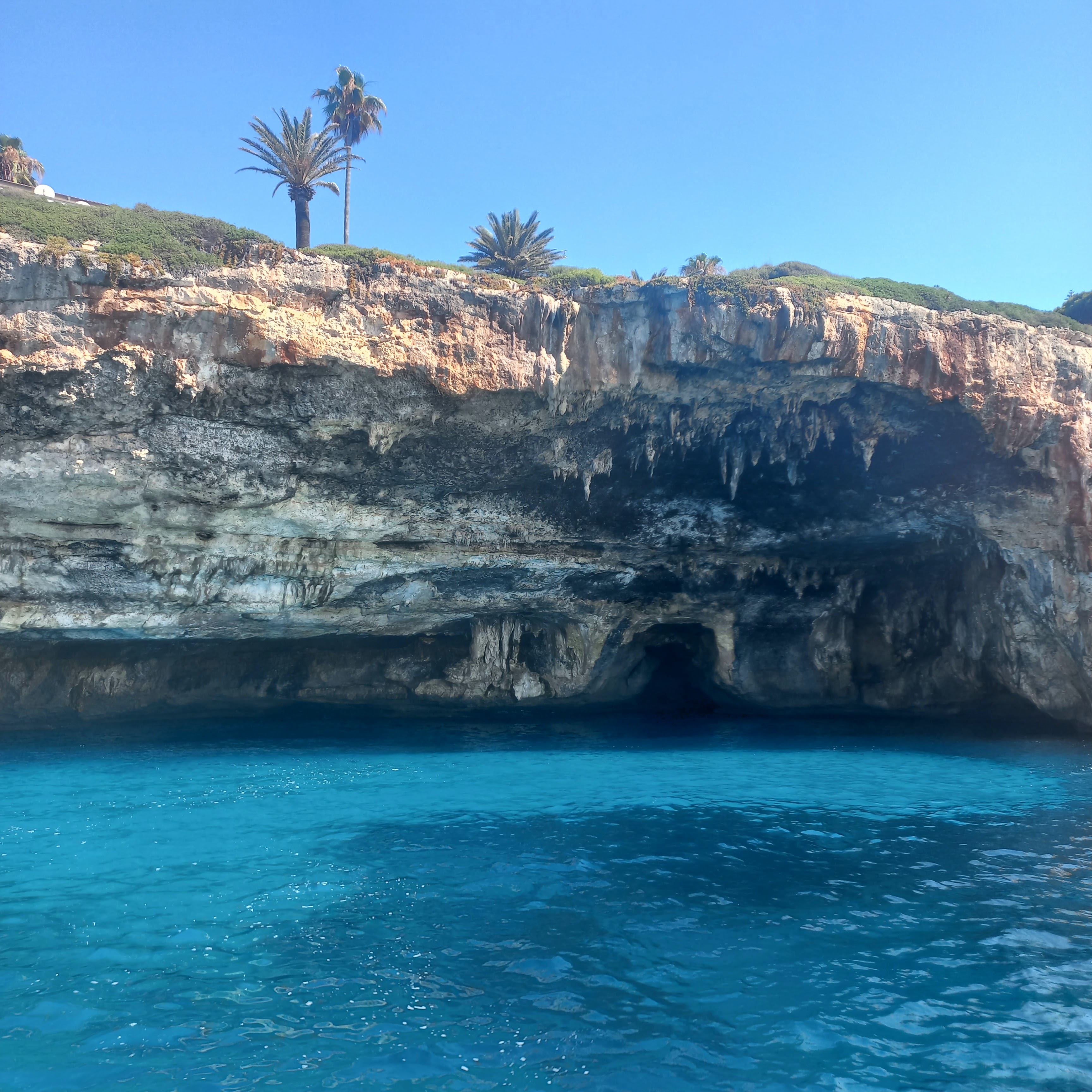 Mallorca Sea Paradise - Glass Bottom Boat