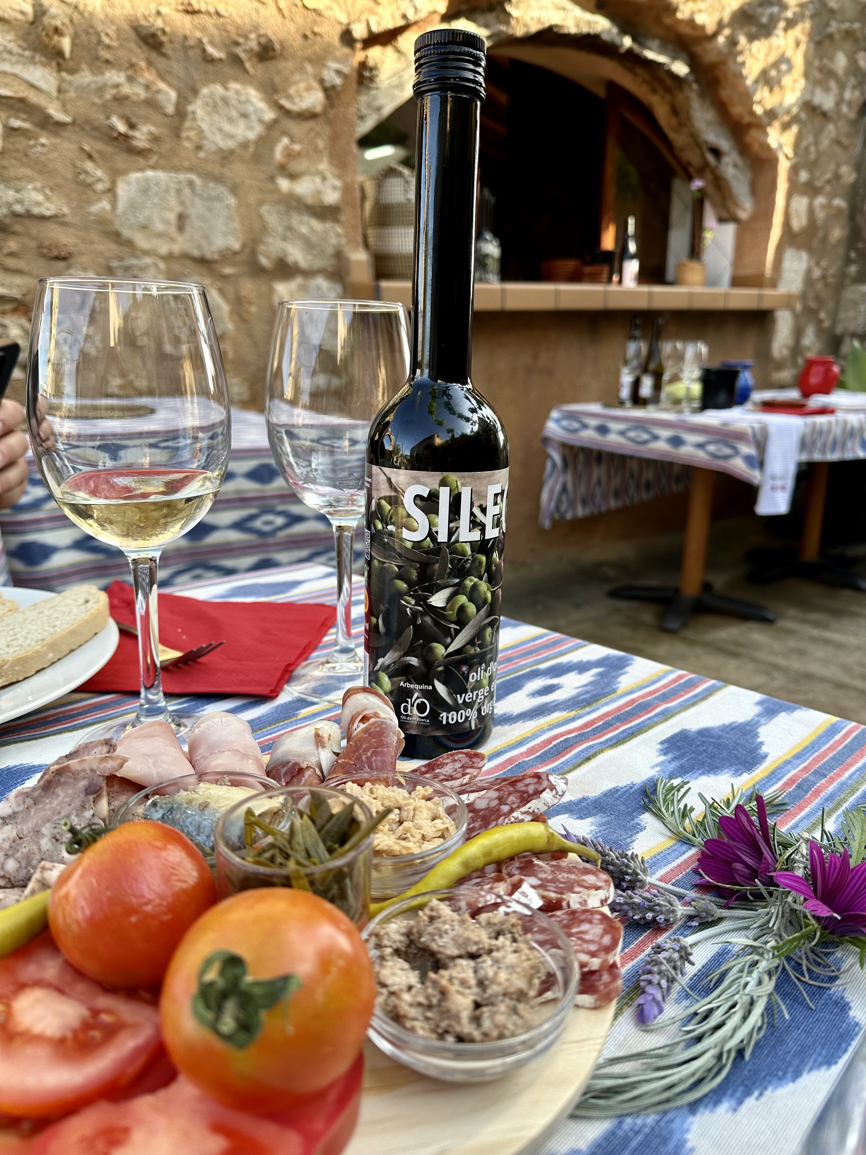Wine Tasting in Cala Agulla