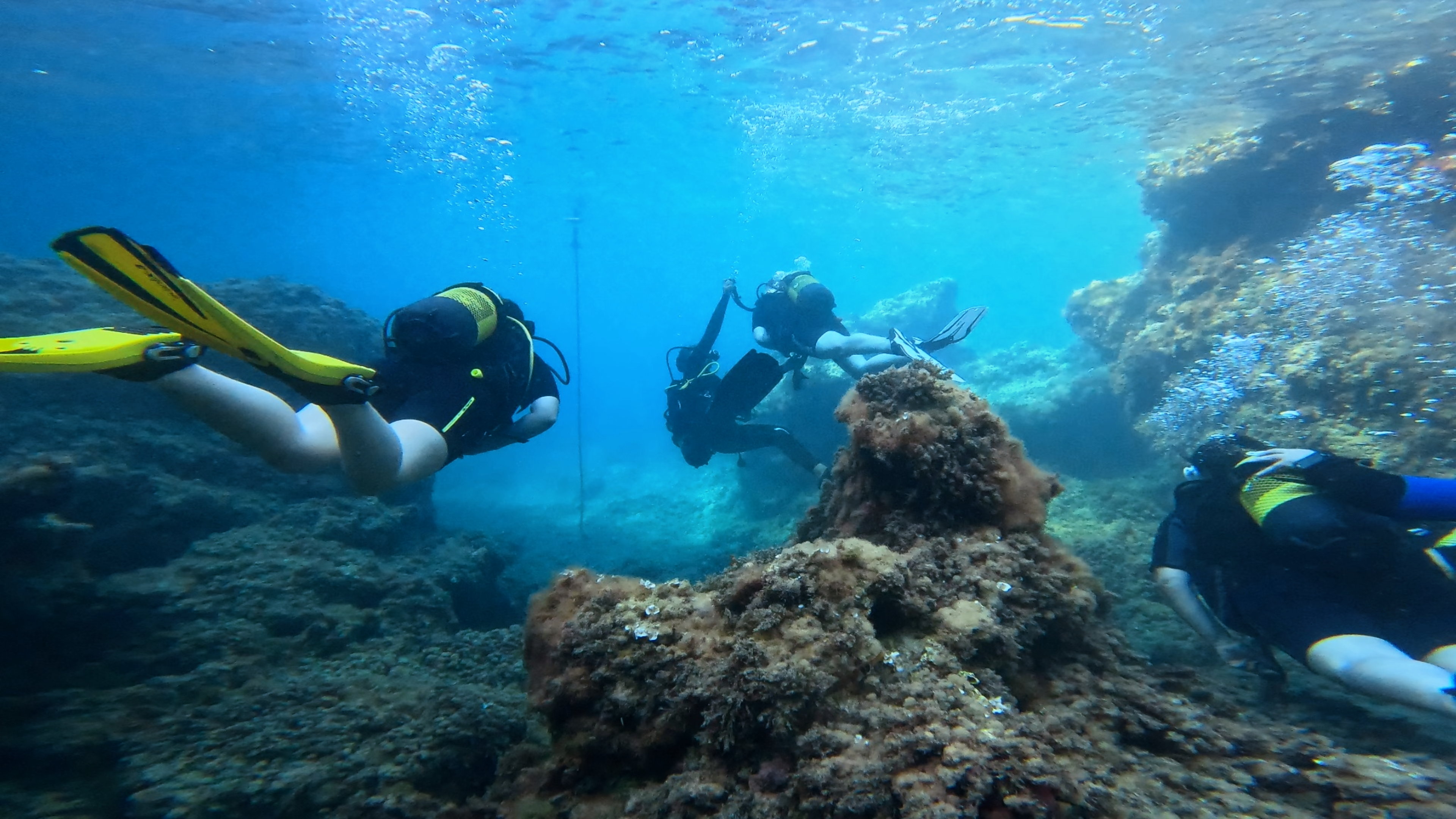 Scuba Courses in Santa Ponsa