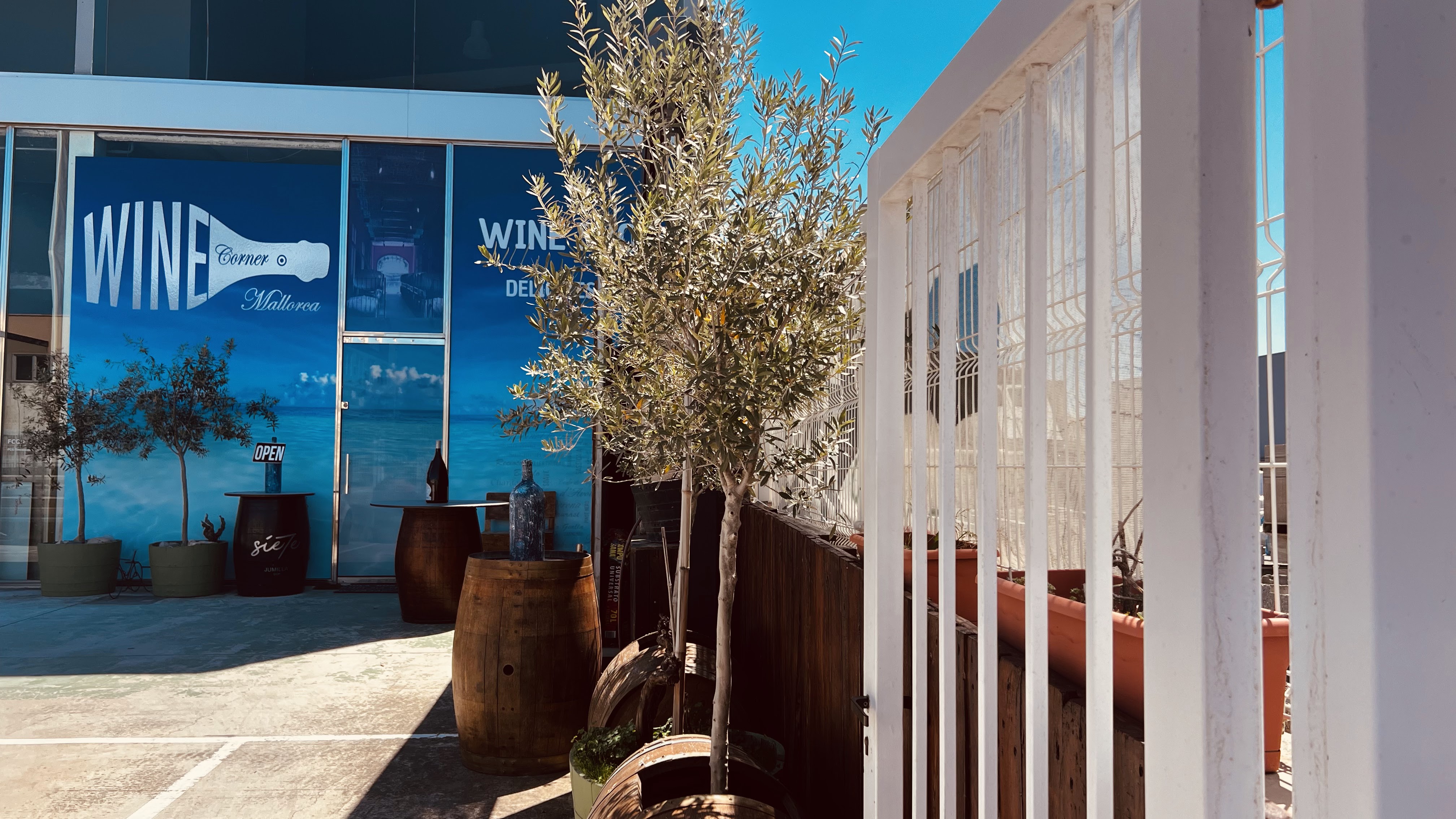 Wine Tasting in Santa Ponsa