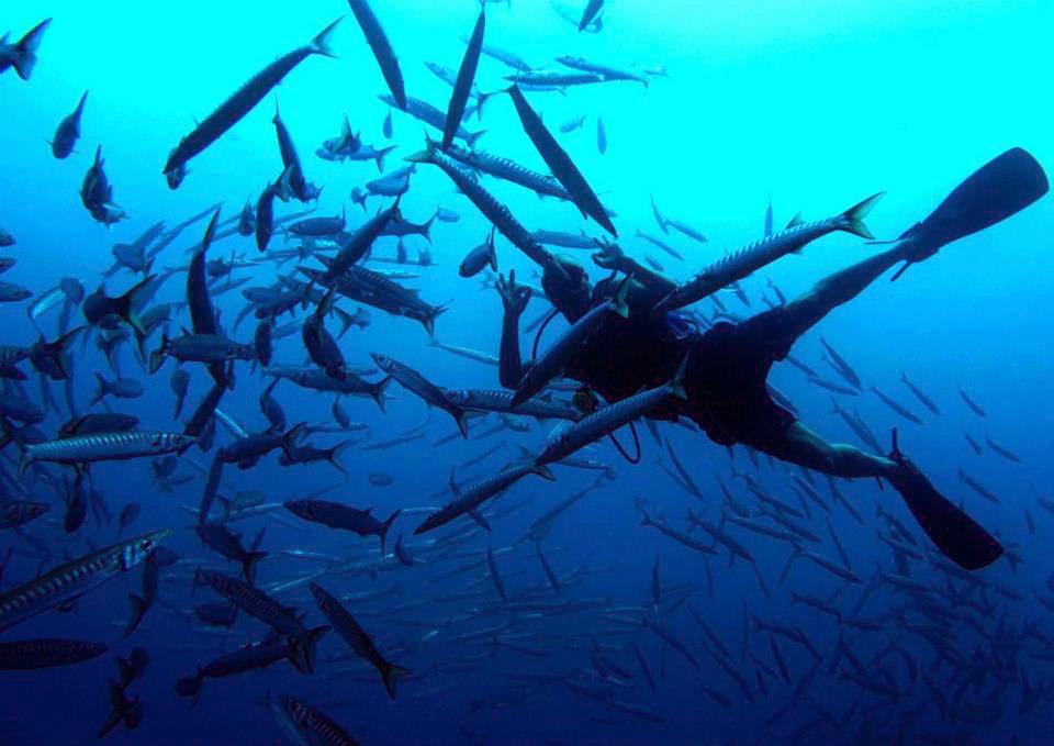 Scuba Courses in Deià