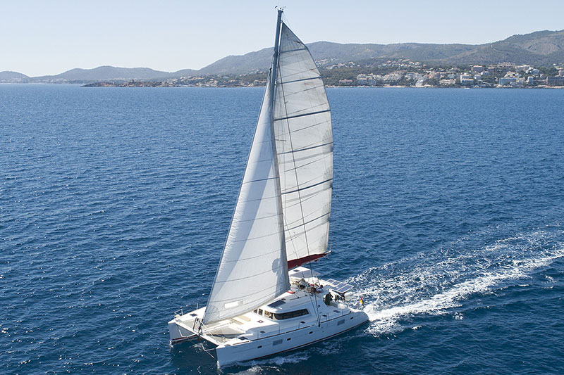 Dolphin Watching in Palma