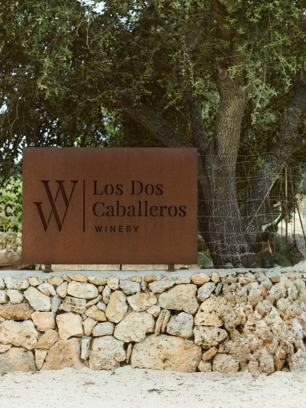 Wine Tasting in Cala Vinyes