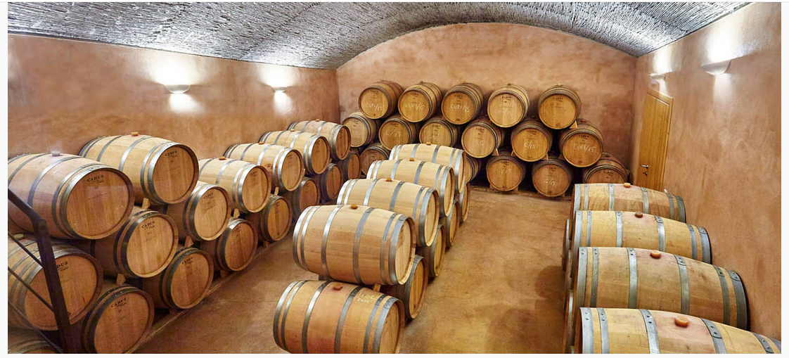 Wine Tasting in Alcúdia