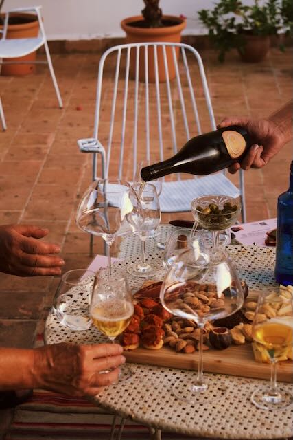 Wine Tasting in Pollença
