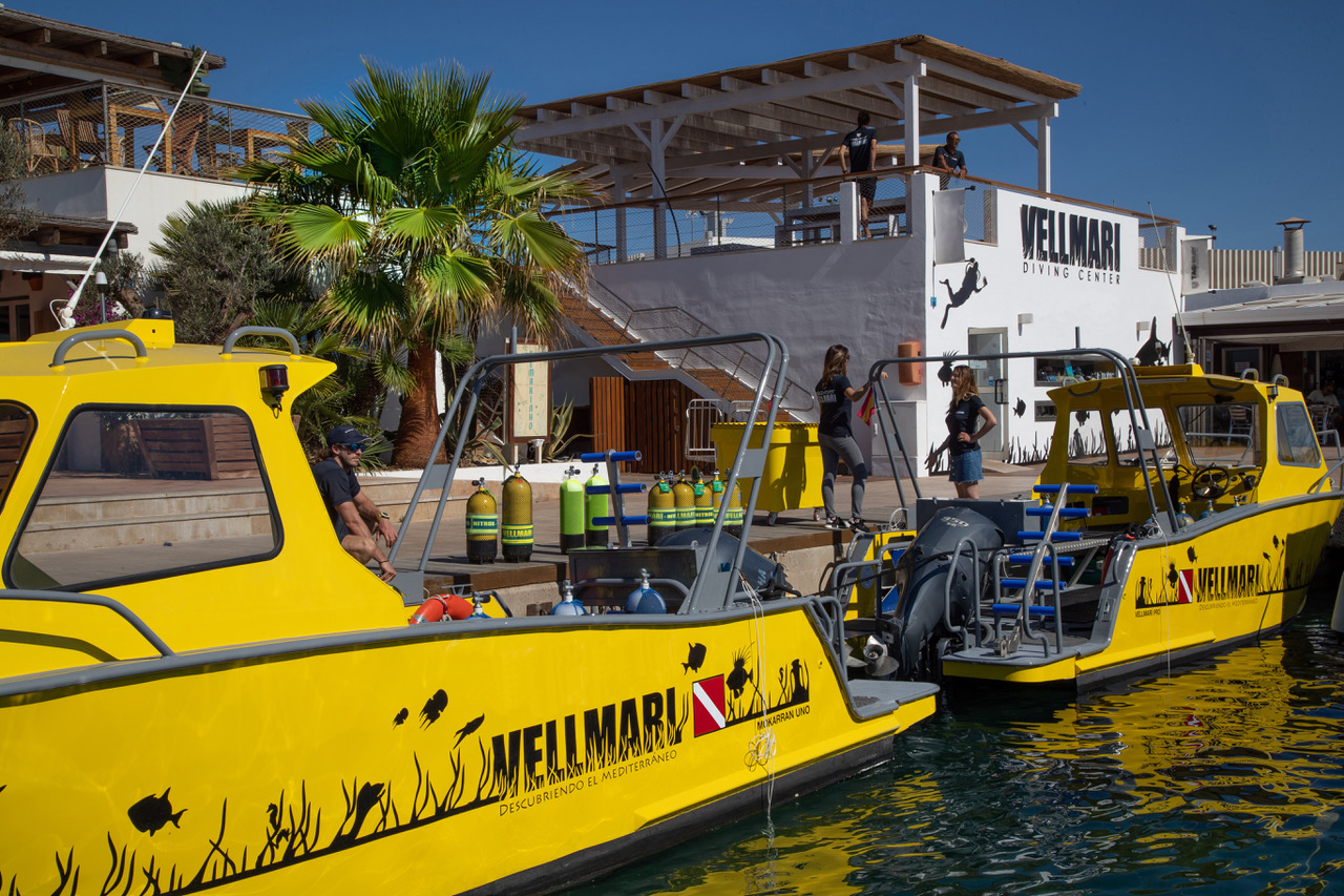 VELLMARI FORMENTERA
