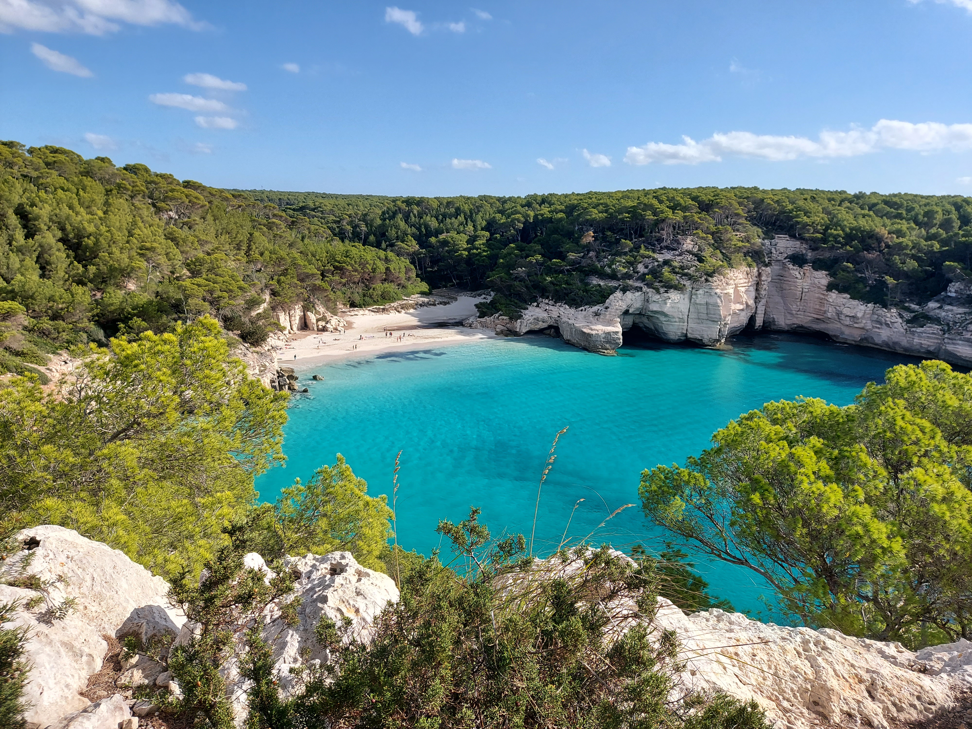 Catamaran Cruise in Cala Mitjana