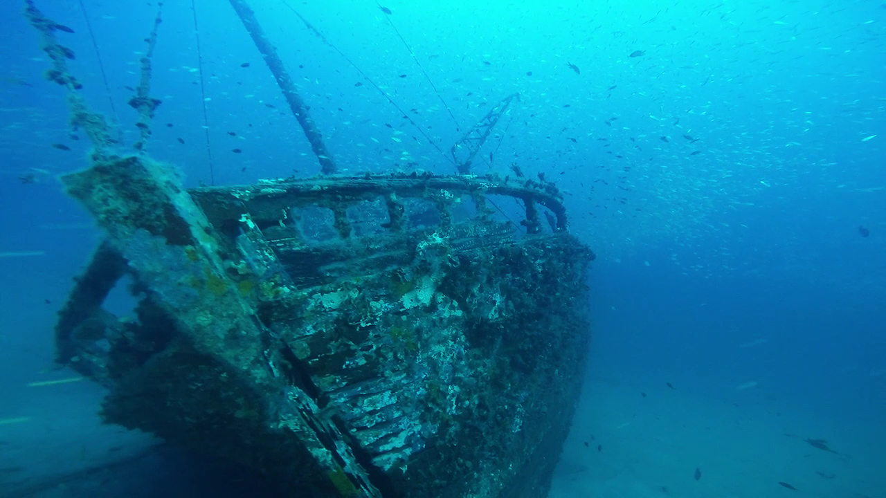 Freediving in Binibeca photo 2